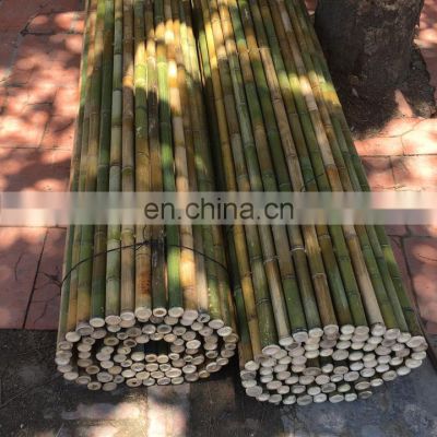 Hot Deal Cheapest Price 100% Real Bamboo Top Quality various size for making furniture from Viet Nam