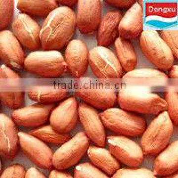 bulk Fair trade red skin peanut kernel