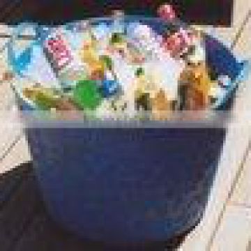 garden buckets,storage buckets,dustbin,plastic bucket,REACH