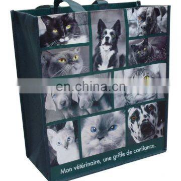 SG08-8N016 pp non woven shopping bag with laminated