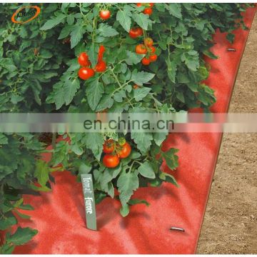 Mulch manufacturers supply agricultural red mulch plastic film, mulch film for strawberry
