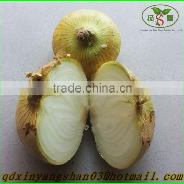 2015 Onion Fresh/wholesale fresh yellow onion price