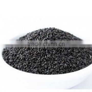 High Quality Basil Seed for juice