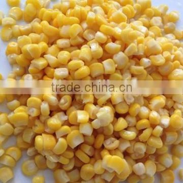 New Crop Canned whole kernel corn 2840g