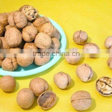 2012 fresh dried walnut packed in woven bag