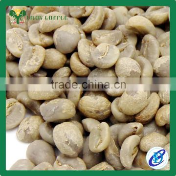 High quality green coffee laos green beans coffee
