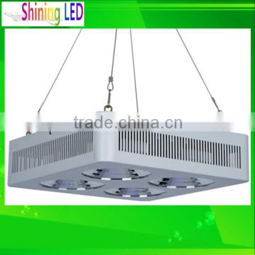 Shenzhen Lamp Manufactory Super Performance High Power 30W 50W 80W 100W 150W Chip on Board Lights 130W COB LED Plant Grow Lamp