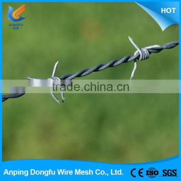 china new design popular single coil razor wire