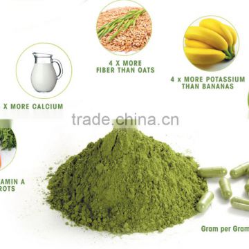 Organic Certified Moringa Leaf Powder for Export