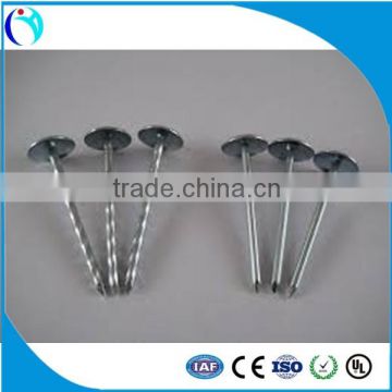 China building material dubai and arabic 9G 2.5" umbrella roofing nail
