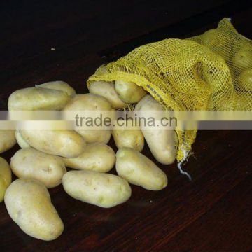 new crop china fresh potato