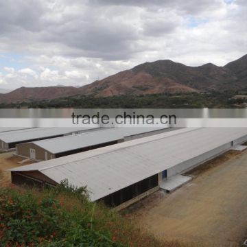 Turnkey complete controlled poultry house farm machinery equipments