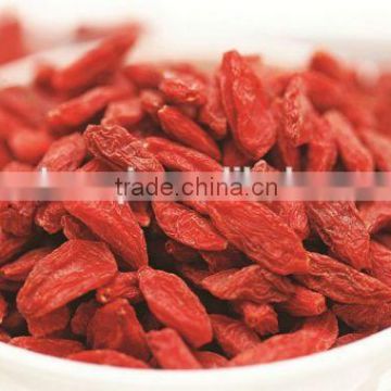 350grains tibetan goji berry/red dried fruit