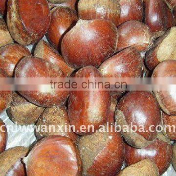 supply all the year round fresh chestnut
