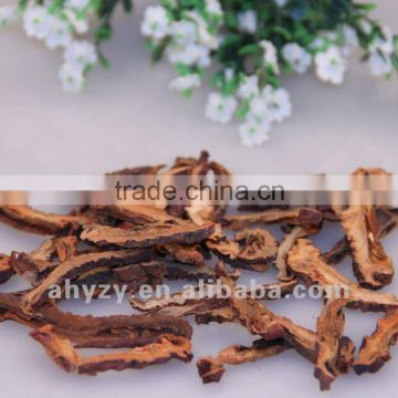 Good quality Dried Pawpaw Pieces(Ganmuguapian)