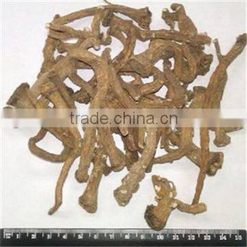 2015 Chinese Teraxaci Root