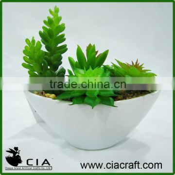 Office mini potted succulents bonsai artificial succulents for sale