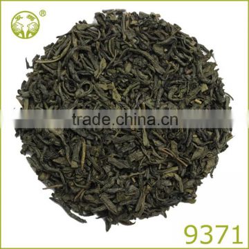 Europe standard Chinese green tea slimming fit tea