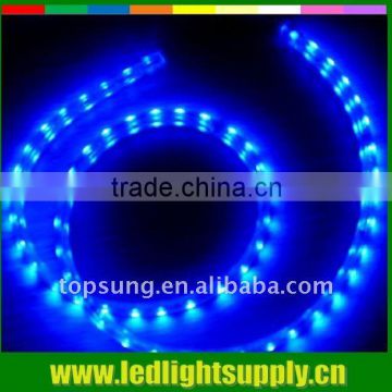Blue color 230V LED strip light Topsung lighting decorating china supplier led christmas lights wholesale