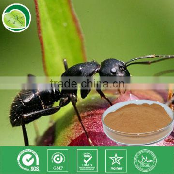10:1,polyphenols,Formic acid/black ant extract/black ant p.e.