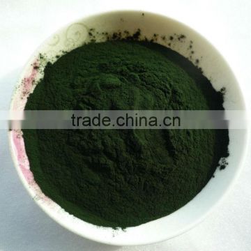 Pure natural organic spirulina powder for sale
