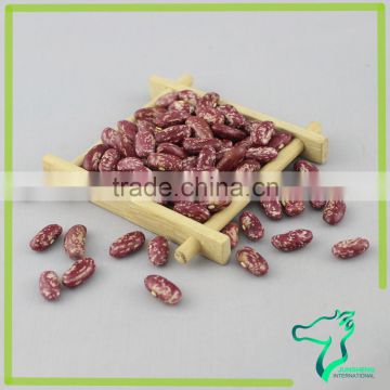China Origin Red Speckled Kidney Beans, Red Mottled Beans