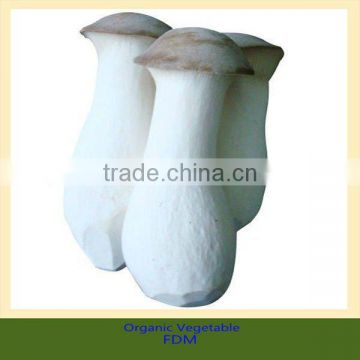 buy fresh china mushrooms