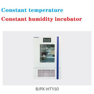 Constant temperature and humidity incubator