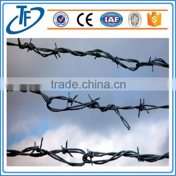Steel Hot Dipped Barbed Wire