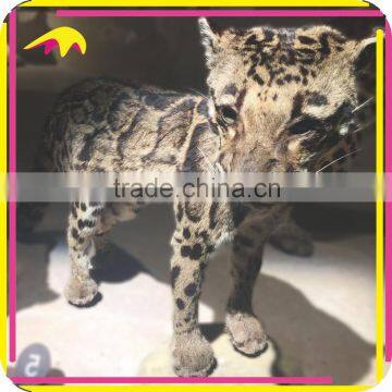 KANO0967 Theme Exhibition Vivid Artificial Cute Resin Leopard