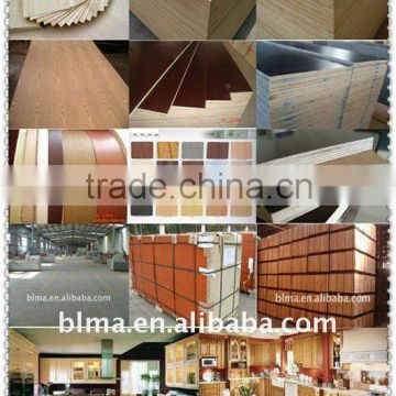 1220mm*2440mm*4mm poplar kinds of plywood