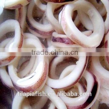 squid price is cheap