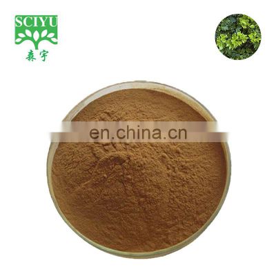 Ivy Leaf Extract 10% Hederagenin/10% Hederacoside C Hedera Helix Extract