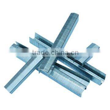 fine galvanized wire STCR5019 metal staples