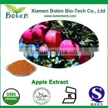 High Quality Apple Polyphenols, Apple Phloretin, Apple Phloridzin