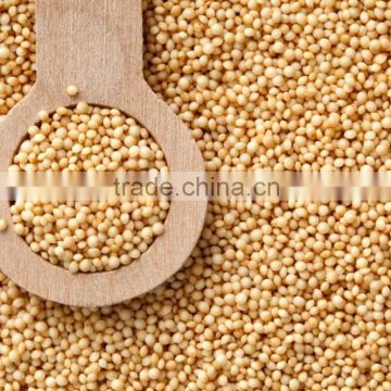 Best Quality Organic Amaranth Seeds Suppliers