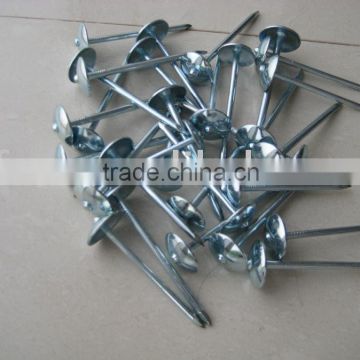 top selling galvanized umbrella head roofing nails factory