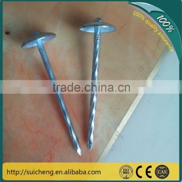 Guangzhou Factory 9 Gauge Common Umbrella Roofing Nails Galvanized