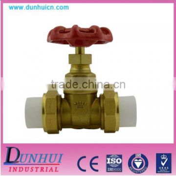 brass PPR sluice valve