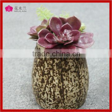 decorative artificial succulent grow in succulent pot