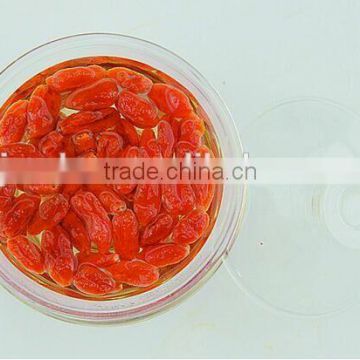 Wholesale 2016 Goji berry for healthy fruit from China manufacturer