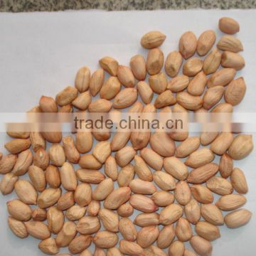 peanuts from qingdao