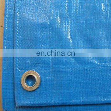 waterproof pe material plastic tarpaulin for car cover from China