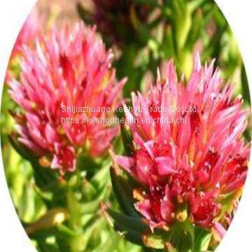 Rhodiola extract,PLANT EXTRACT,Solvent Extraction