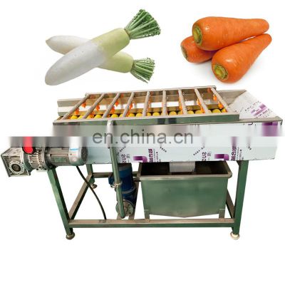 Automatic Vegetable Brush Cleaning Machine Sweet Potato Date Washing Ginger Cassava Peeling Carrot Peeler Fruit Washer