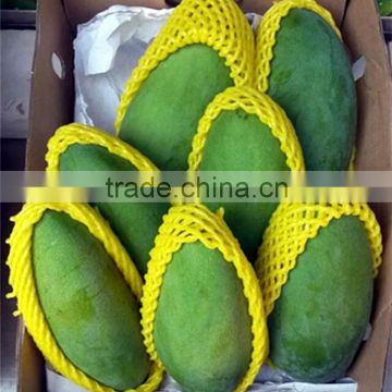 Any Color&Sizes Available Customized Food Grade Custom-made Foam Polypropylene Mesh Net for Fruit