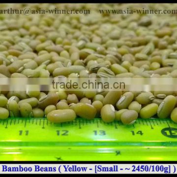 Bamboo Beans [ Small ]