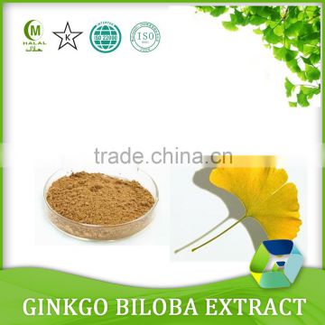 Natural Ginkgo biloba leaf extract,Water soluble ginkgo biloba extract