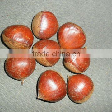 Fresh Chestnuts 2012 Price in China (40-60/kg)