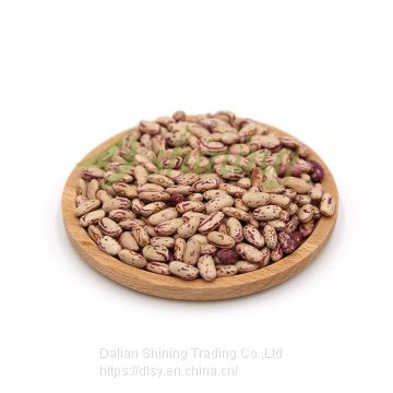 Competitive Price Sugar Beans For Canning